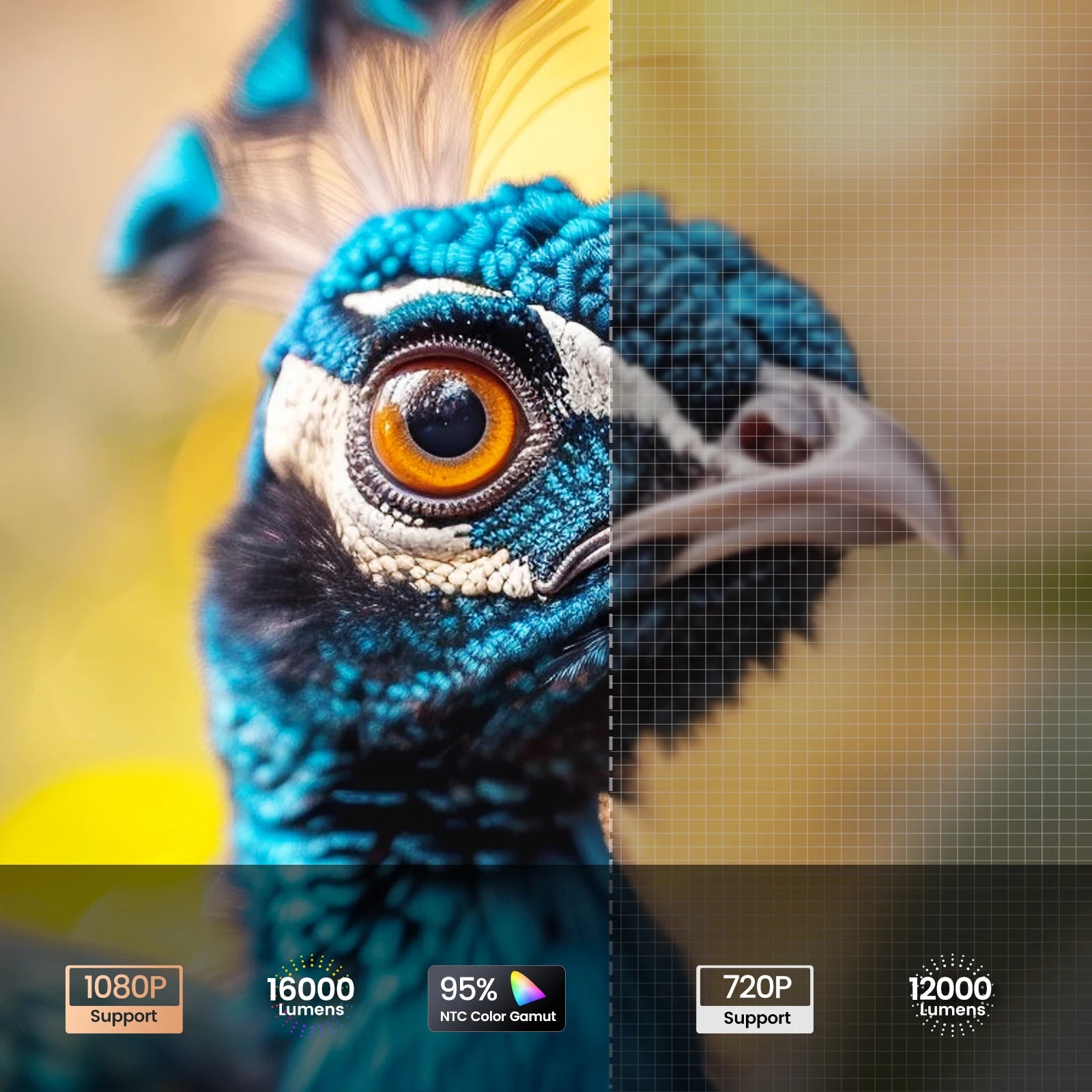 Full HD Mini Projector